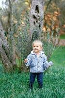 Smiling little girl stands in the grass near the tree with a soft toy in her hand photo