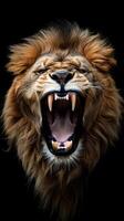 un león con sus boca abierto y dientes desnudo foto