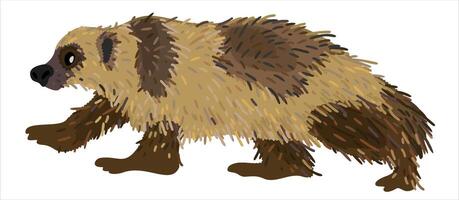 Wolverine animal. isolated illustration vector