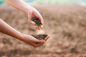 Two hands holding dirt in a field photo