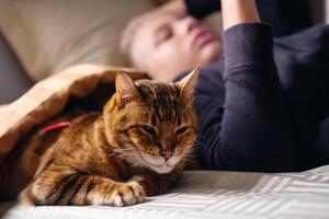 Teenage boy travelling with a cat in the sleep wagon of passenger train. photo