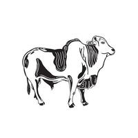 hand sketch, cow icon, sacrifice icon, Eid al-Adha vector