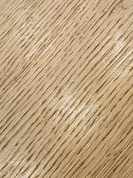 Light oak texture. Oak wood. Wood background photo