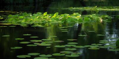 verde hojas en estanque río lago paisaje antecedentes ver foto