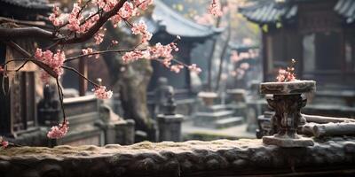 Ancient asian japanese chinese old vintage retro town city building temple with nature tree flowers photo