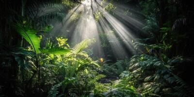 tropical lluvia selva profundo bosque con beab rayo ligero brillante. naturaleza al aire libre aventuras ambiente escena antecedentes ver foto