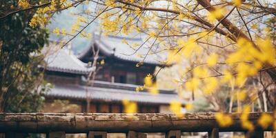 Ancient asian japanese chinese old vintage retro town city building temple with nature tree flowers photo