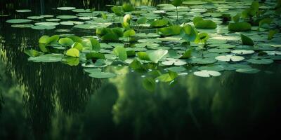 Green leaves on pond river lake landscaoe background view photo