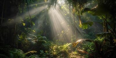 Tropical rain jungle deep forest with beab ray light shining. Nature outdoor adventure vibe scene background view photo