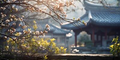 Ancient asian japanese chinese old vintage retro town city building temple with nature tree flowers photo