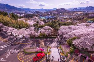 Cereza flores floreciente en primavera a mundo electrónico 83 torre un popular turista destino. en daegu, sur Corea. foto