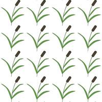 Swamp reeds, simple grass. Seamless pattern. illustration. vector