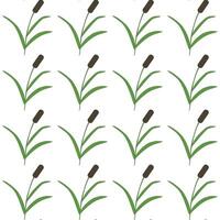 Swamp reeds, simple grass. Seamless pattern. illustration. vector