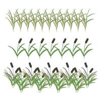 Swamp reeds, simple grass. Set of borders for your design. illustration isolated on white background. vector