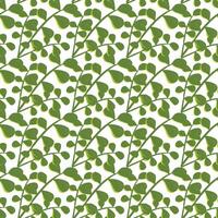 A simple twig with leaves. Floral ornament. Seamless pattern. illustration. vector