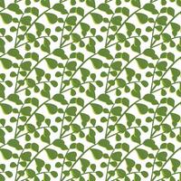 A simple twig with leaves. Floral ornament. Seamless pattern. illustration. vector