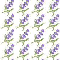 A sprig of lavender. Purple flower. Seamless pattern. illustration. vector