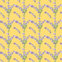 A sprig of lavender. Purple flower. Seamless pattern. illustration. vector