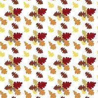 Oak branch with acorns and leaves. Autumn colorful foliage. Seamless pattern. illustration . vector