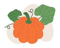 Flat orange pumpkin. Halloween cute traditional gourd vegetable, october holiday pumpkin decoration, flat illustration. Halloween holidays squash on white vector