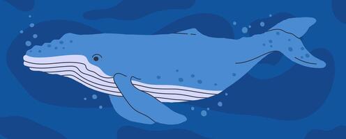 Wild whale. Underwater ocean animal, aquatic fauna, ocean nature mammal animal flat illustration. Hand drawn blue whale vector