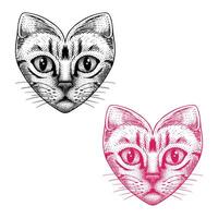 Heart Shaped Cat Vintage Illustration vector