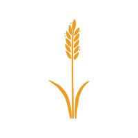 Wheat, barley, rice icon. Hand drawn vector