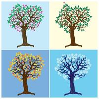 Tree representing the four seasons vector