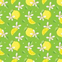 Yellow lemon illustration seamless pattern vector