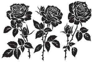 Rose Flower black Silhouettes isolated on a white background, Set of decorative roses with leaves Clipart vector