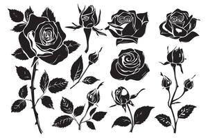 conjunto de Rosa siluetas ilustración vector