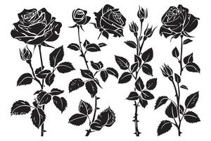 set of Rose silhouettes illustration vector