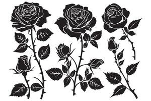 Set of decorative rose with leaves. Flower silhoutte vector