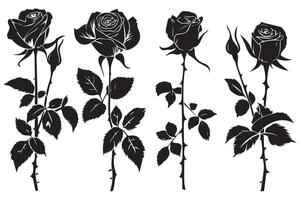 Rose Flower black Silhouettes isolated on a white background, Set of decorative roses with leaves Clipart vector