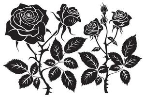 set of Rose silhouettes illustration vector