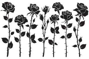 black silhouette Set of rose with leaves Flower black silhouette white background vector