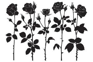 Rose silhouettes illustration. Black buds and stems of roses stencils isolated on white background vector