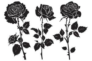 Rose Flower black Silhouettes isolated on a white background, Set of decorative roses with leaves Clipart vector