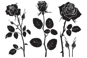 Rose silhouettes illustration. Black buds and stems of roses stencils isolated on white background vector