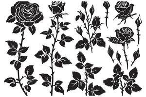 Rose Flower black Silhouettes isolated on a white background, Set of decorative roses with leaves Clipart vector