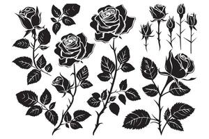 Set of roses silhouettes isolated on a white background vector