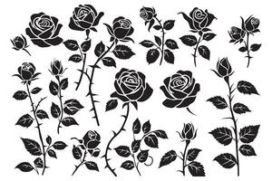 Rose silhouettes illustration. Black buds and stems of roses stencils isolated on white background vector