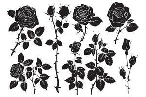 Set of decorative rose with leaves Flower silhoutte on white background vector