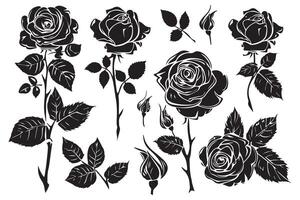 Set of roses silhouettes isolated on a white background vector