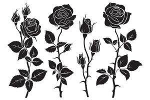 conjunto de decorativo Rosa con hojas flor silhoutte en blanco antecedentes vector