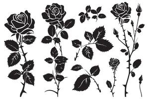 Set of roses silhouettes isolated on a white background vector