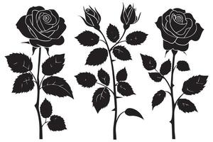 Rose silhouettes illustration. Black buds and stems of roses stencils isolated on white background vector
