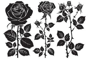 Set of roses silhouettes isolated on a white background vector