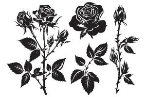 Rosa flor negro siluetas aislado en un blanco fondo, conjunto de decorativo rosas con hojas clipart vector