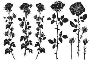 Set of decorative rose with leaves. Flower silhoutte vector